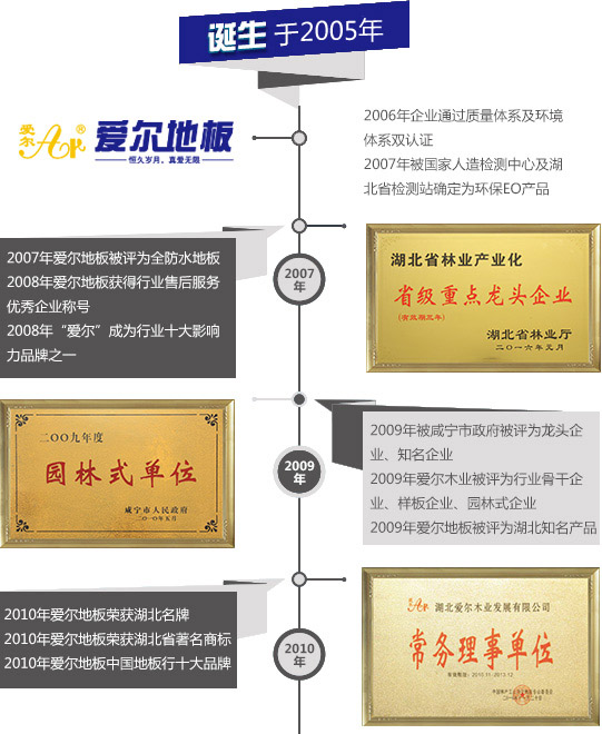 中国环保地板